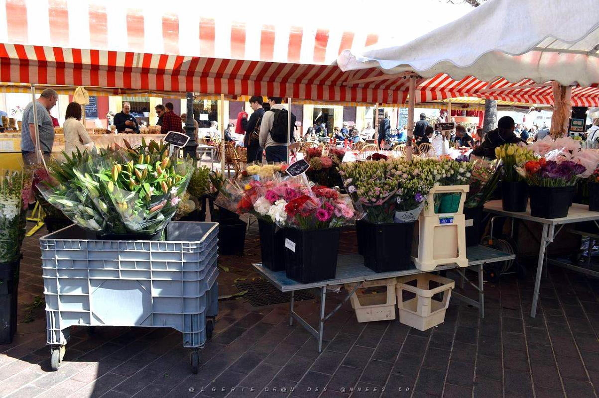 100- Vieux Nice .JPG